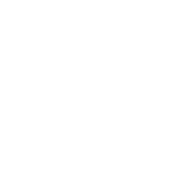 Dispatch-Icon